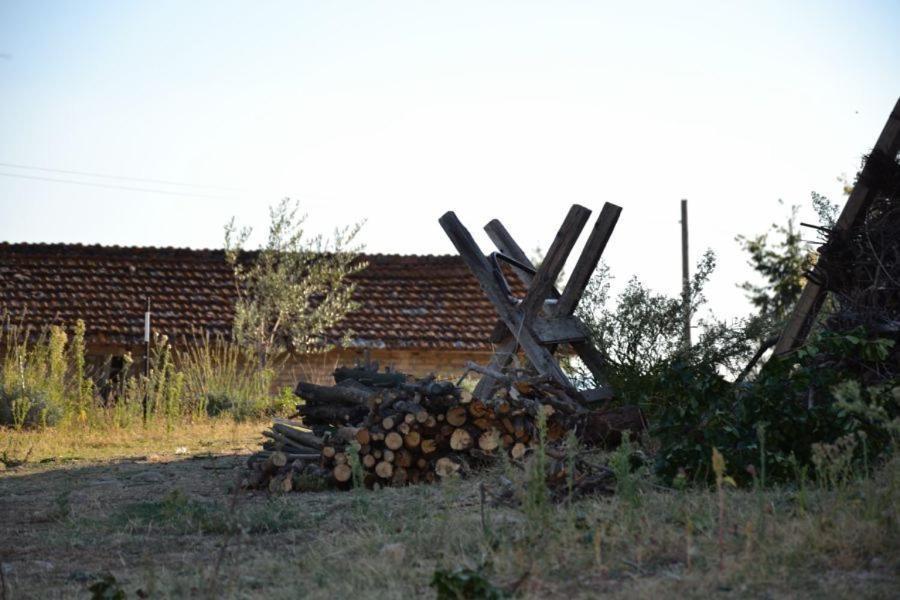 Vila Perugia Farmhouse Exteriér fotografie